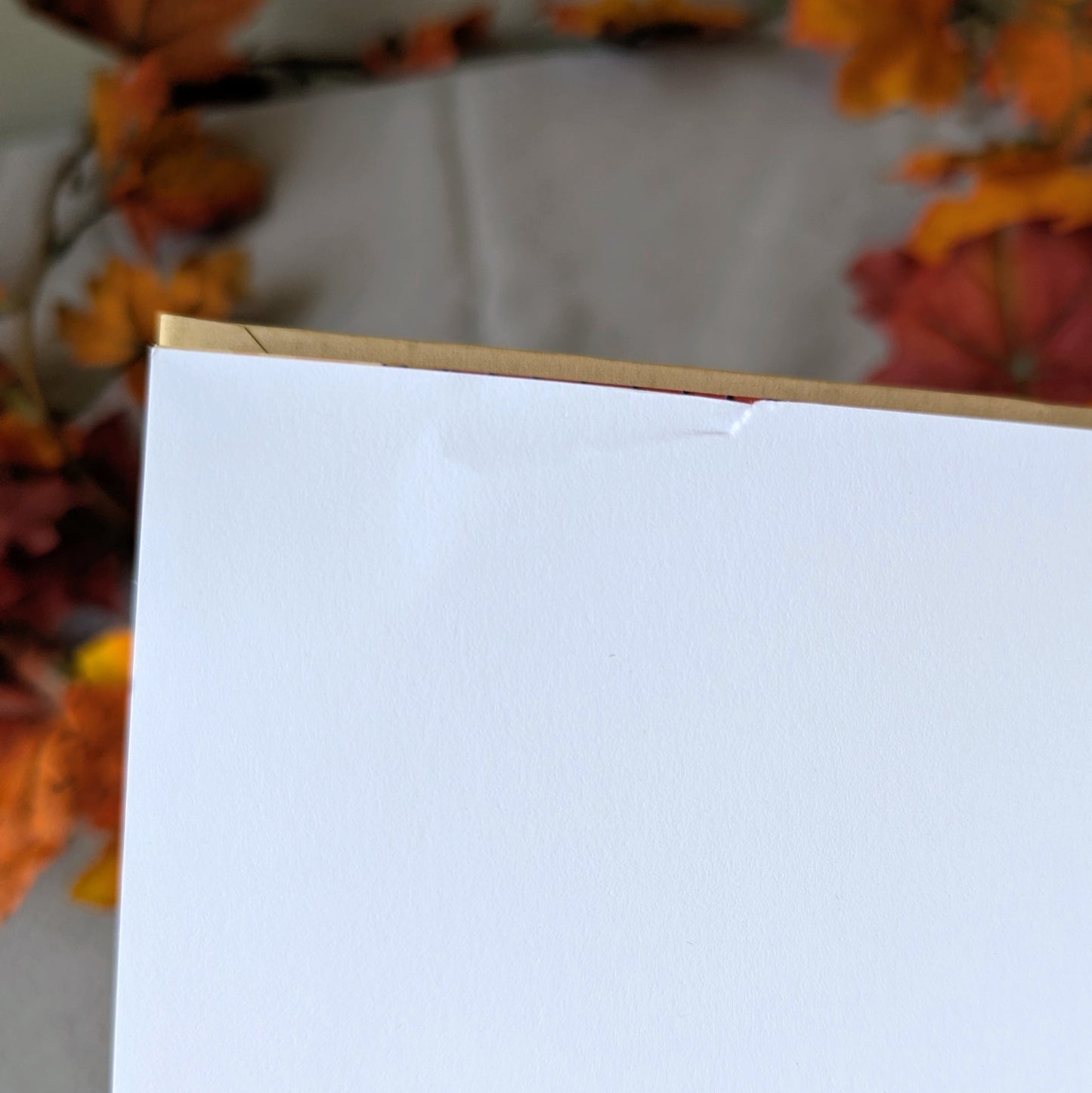 Collectors Guild Cafe Comic Book Hardcover