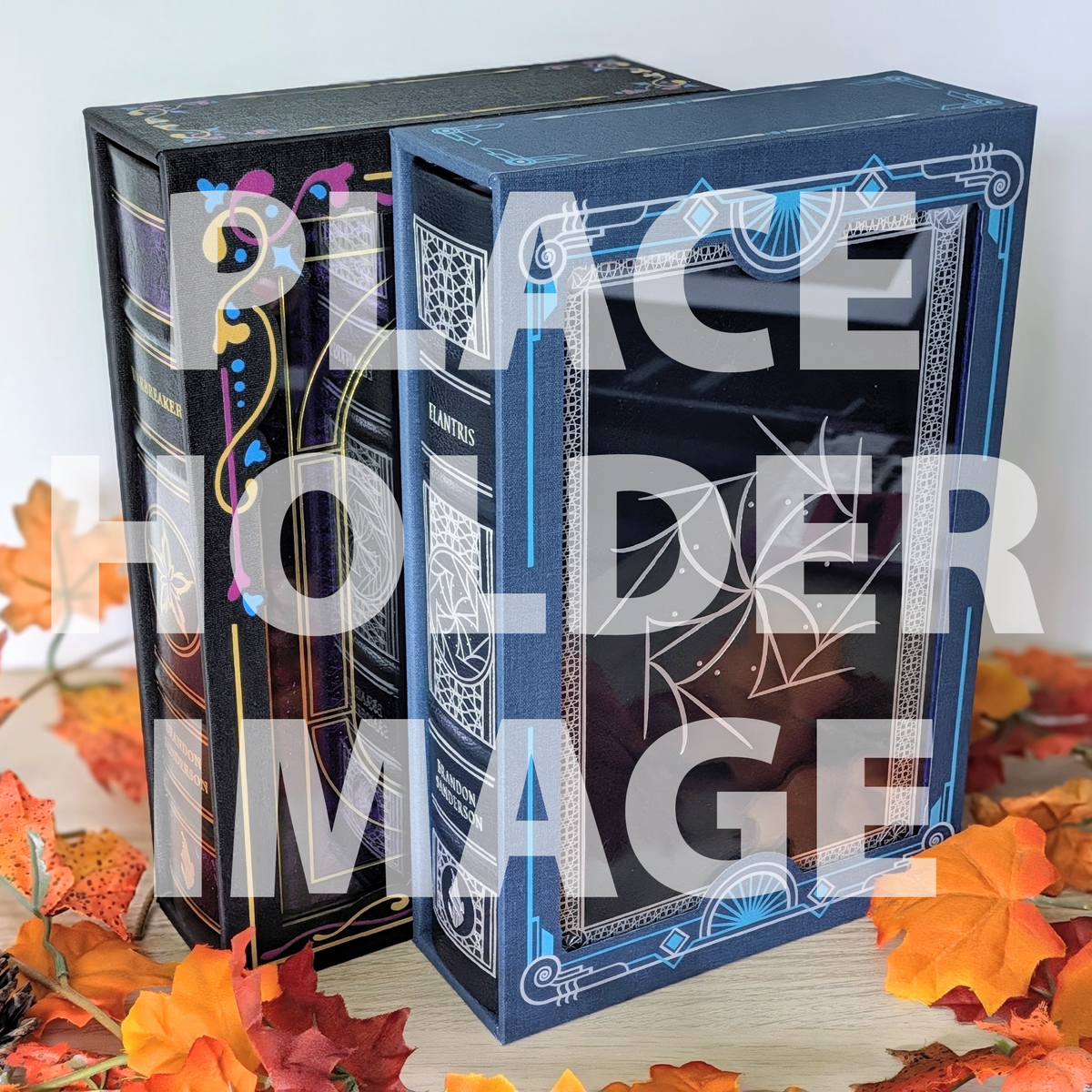 Book Slipcase Displays - Secret Projects