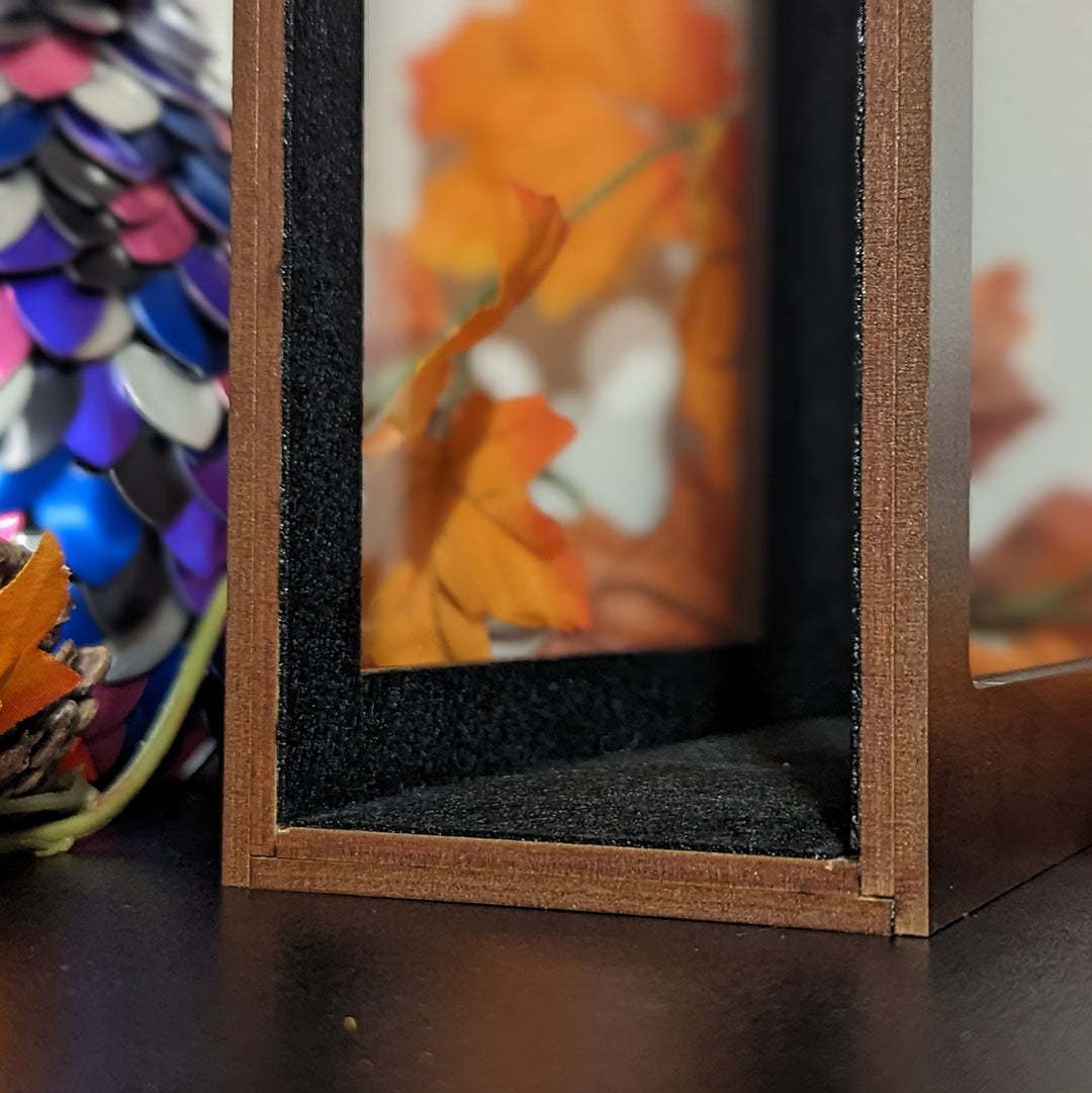 Custom size book display case by Dragon Woodshop close up