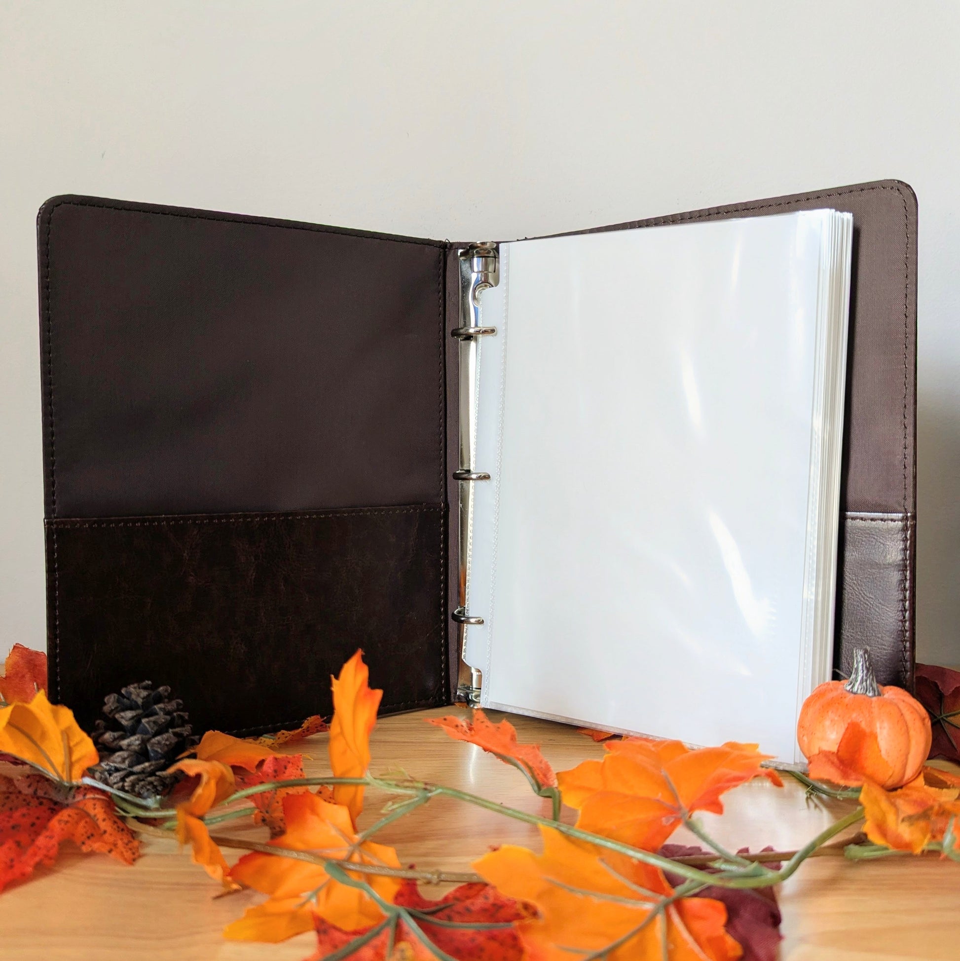 reusable sticker album for sticker collectors, brandon sanderson stickers, cosmere stickers, pixie and brutus stickers