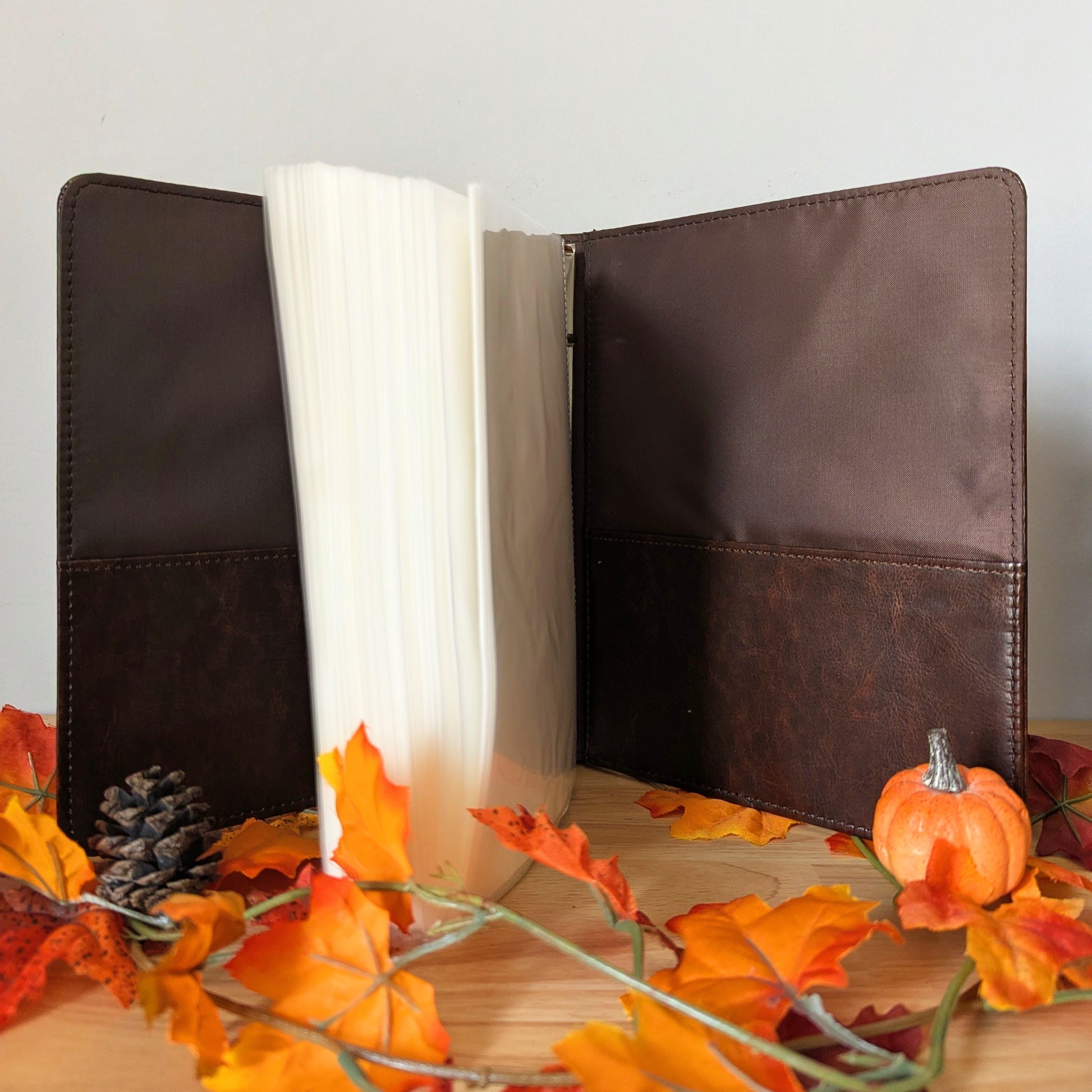 reusable sticker album for sticker collectors, brandon sanderson stickers, cosmere stickers, pixie and brutus stickers