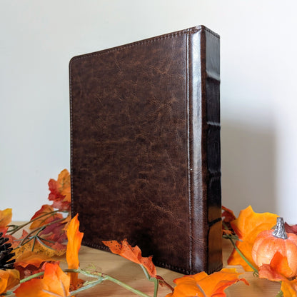 reusable sticker album for sticker collectors, brandon sanderson stickers, cosmere stickers, pixie and brutus stickers