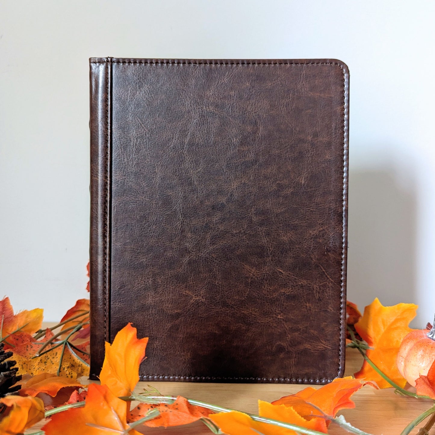 reusable sticker album for sticker collectors, brandon sanderson stickers, cosmere stickers, pixie and brutus stickers