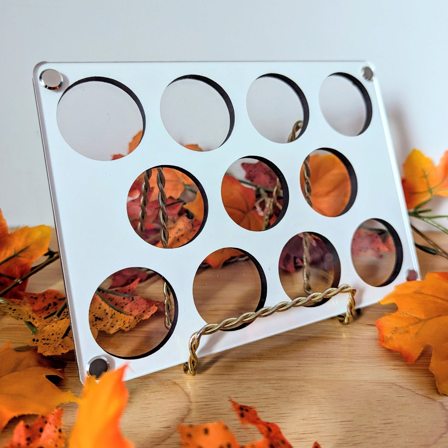 Coin Display - Reversible