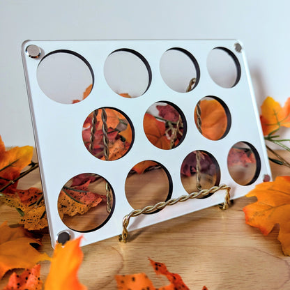 Coin Display - Reversible