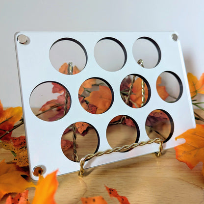 Coin Display - Reversible