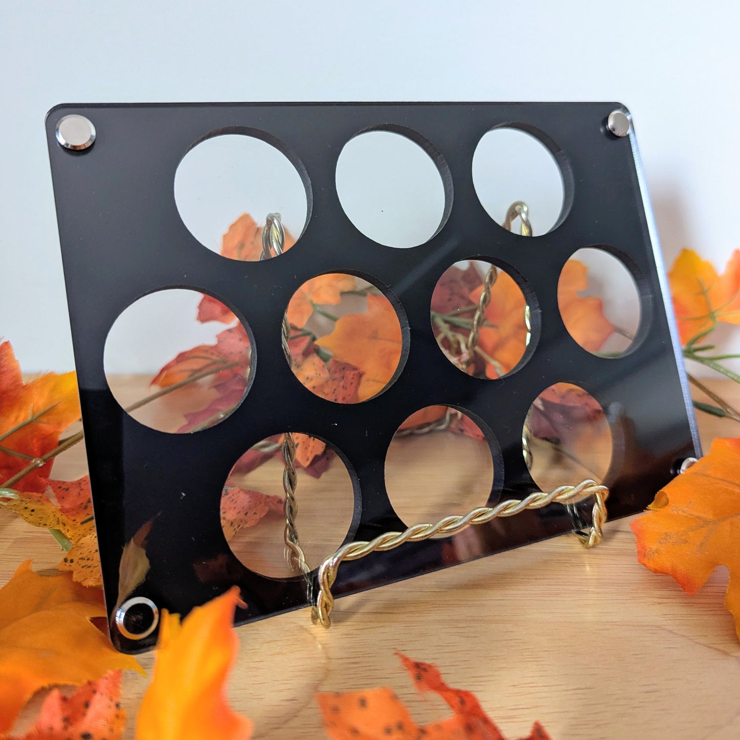 Coin Display - Reversible