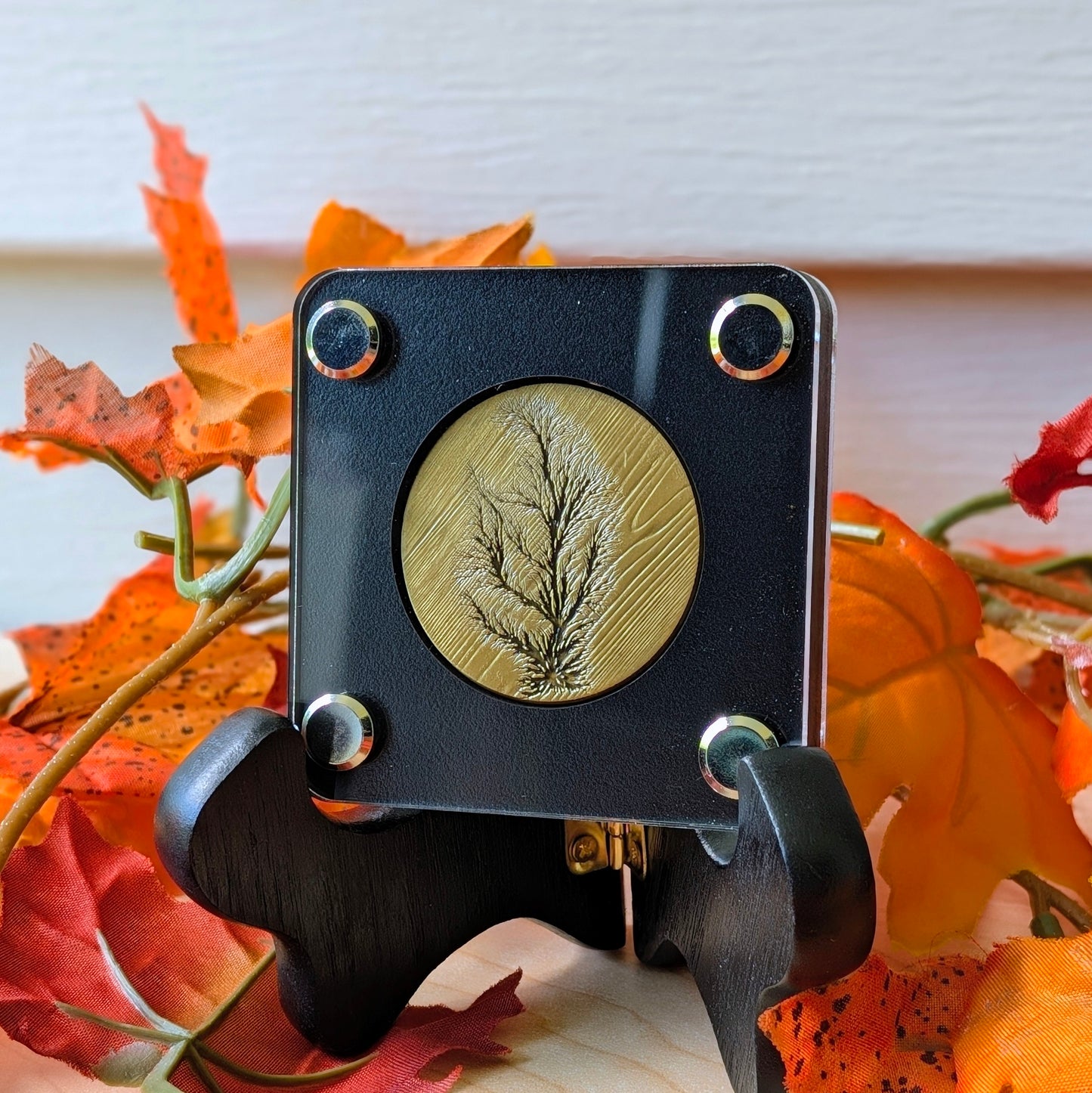 Coin Display - Single Slot