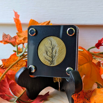 Coin Display - Single Slot