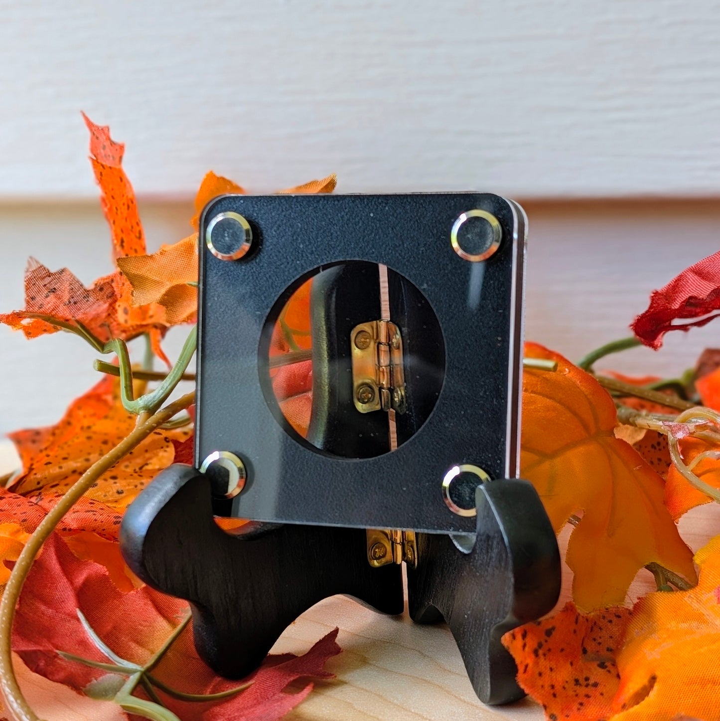 Coin Display - Single Slot