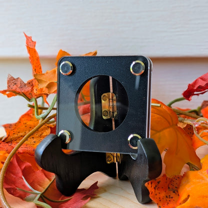 Coin Display - Single Slot