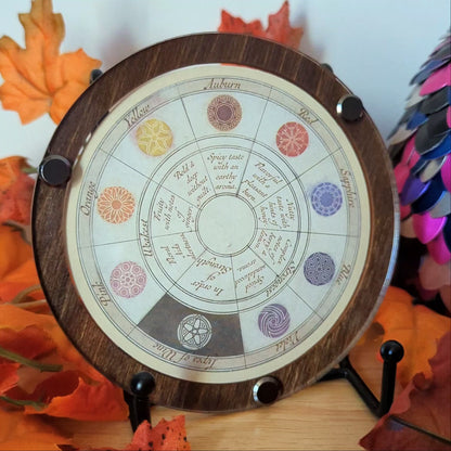 Cases for Circle Coasters - Set of 4