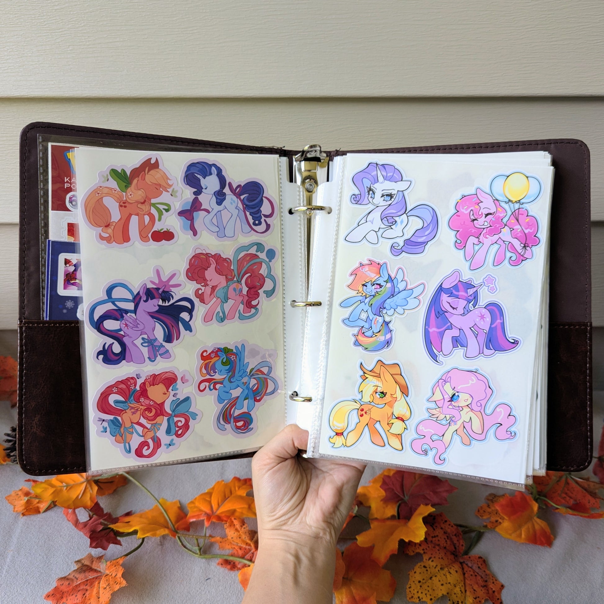 reusable sticker album for sticker collectors, brandon sanderson cosmere, my little pony, pokemon