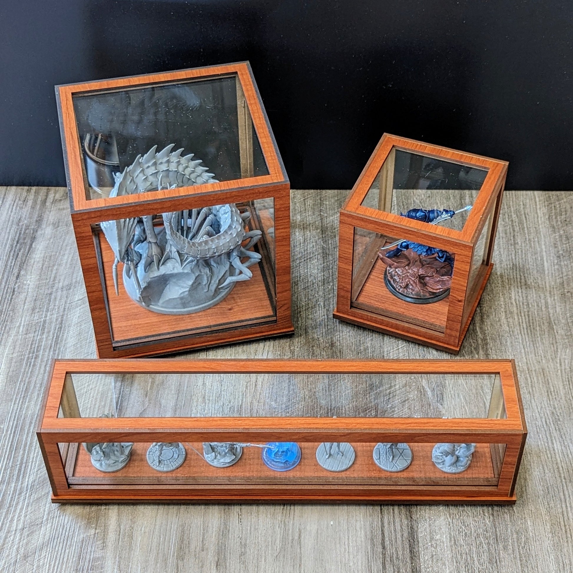 display case for stormlight archive TTRPG miniatures chasmfiend from brotherwise for brandon sanderson cosmere