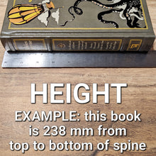 Load image into Gallery viewer, Custom size book display case by Dragon Woodshop example of measuring height
